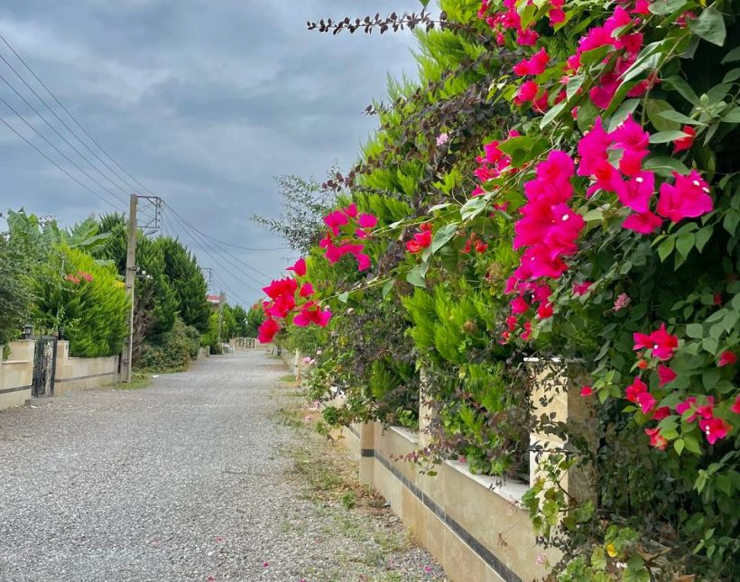 خرید ویلا باغ نما کلاسیک سند دار الیملات نور اقساطی | ۳۰۰ متر