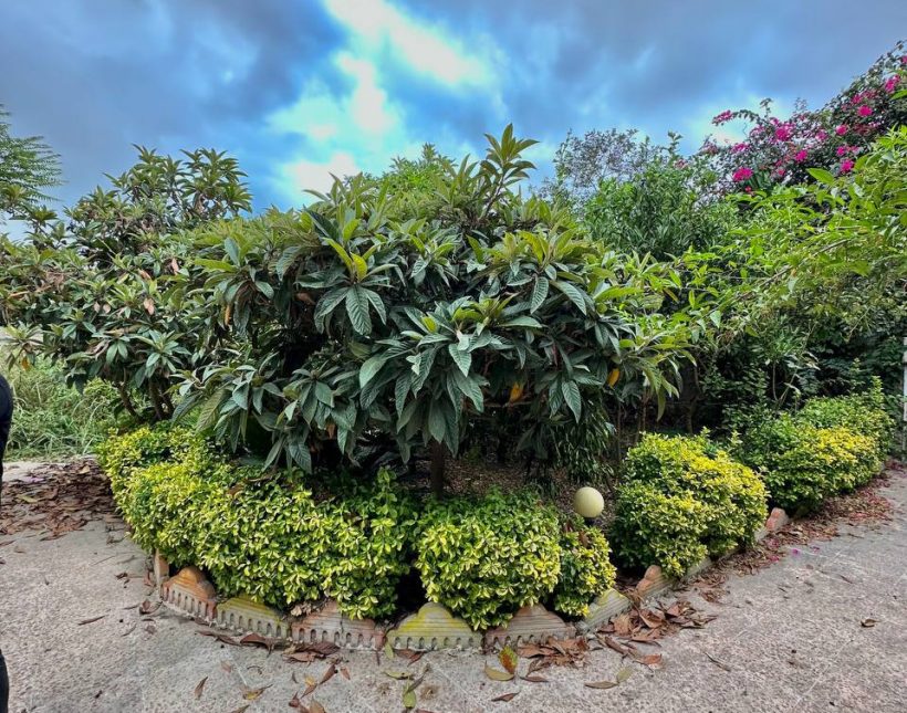 خرید ویلا باغ ۵۲۰ متری دو خوابه سند دار چمستان بهدشت | ۵۲۰ متر