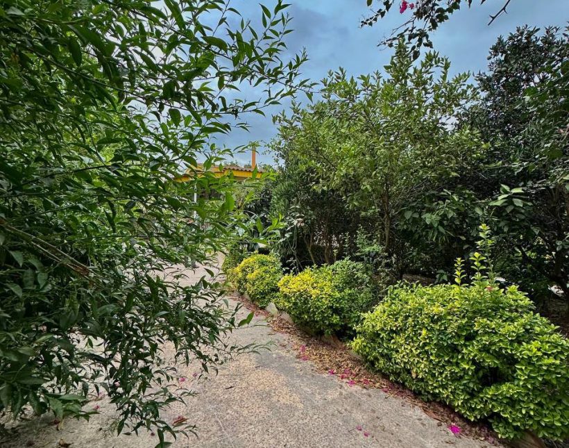 خرید ویلا باغ ۵۲۰ متری دو خوابه سند دار چمستان بهدشت | ۵۲۰ متر