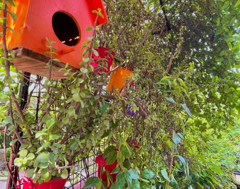 خرید ویلا باغ ۳۰۰ متری شهرک برند امیرآباد چمستان | ۳۰۰ متر