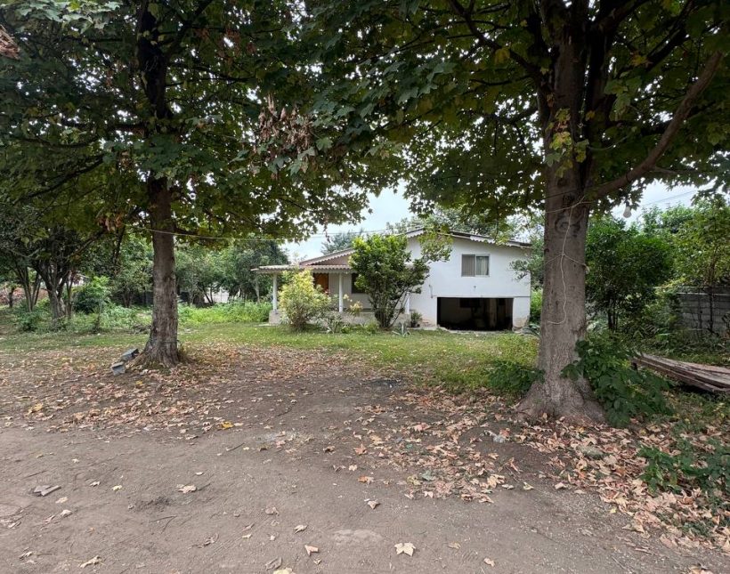 خرید زمین بافت مسکونی سند تک برگ 3000 متری الیمالات نور | 3000 متر