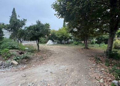 خرید زمین بافت مسکونی سند تک برگ 3000 متری الیمالات نور | 3000 متر