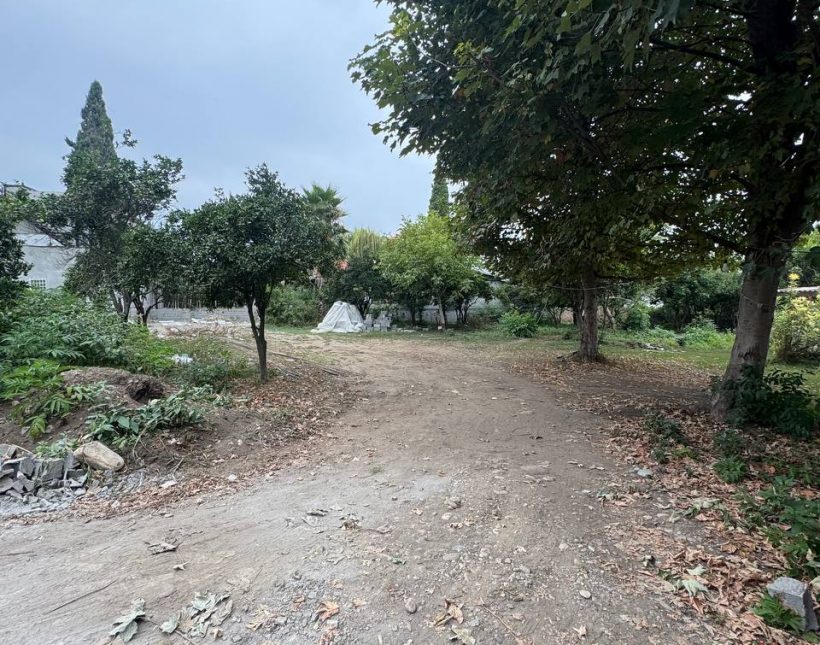 خرید زمین بافت مسکونی سند تک برگ 3000 متری الیمالات نور | 3000 متر