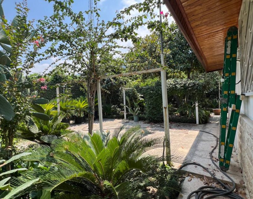 ویلای باغ فلت ۵۰۰متری چلک نوشهر | ۵۰۰ متر