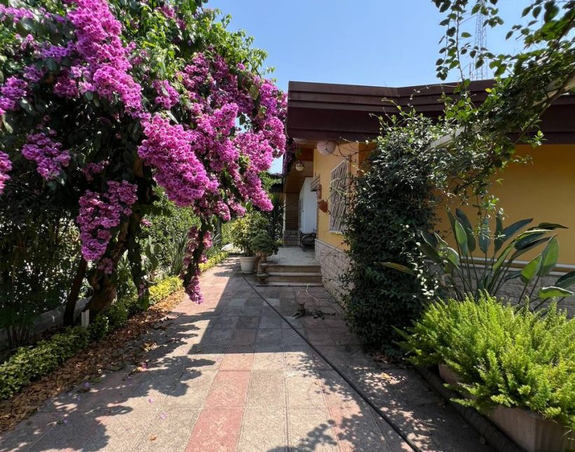 ویلای باغ فلت ۵۰۰متری چلک نوشهر | ۵۰۰ متر