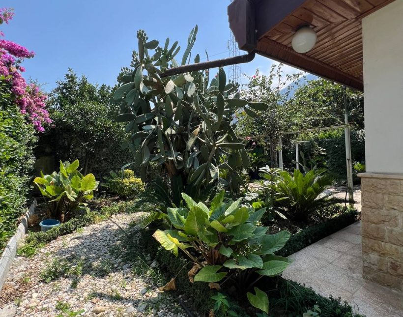 ویلای باغ فلت ۵۰۰متری چلک نوشهر | ۵۰۰ متر