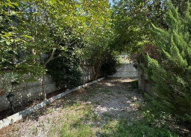 خرید ویلا باغ دلباز سند تک برگ با نگهبانی 500متری الیمالات نور | 500 متر