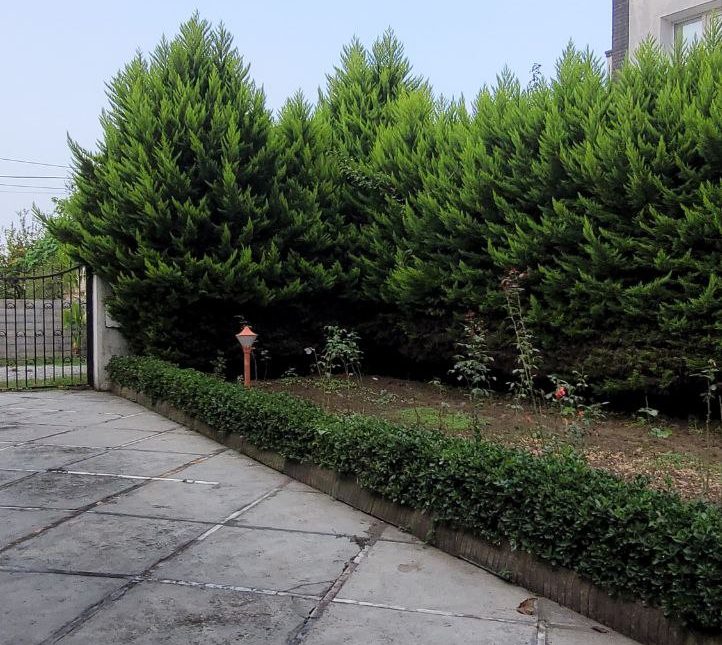 فروش باغ ویلا 360 متری وازیوار نوشهر مدارک کامل تاپ لوکیشن | 360 متر