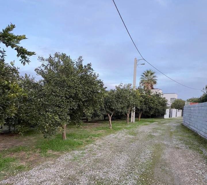 فروش ویلا شیک و مدرن جنگلی ۱۷۰ متر بنا الیمالات | 300 متر