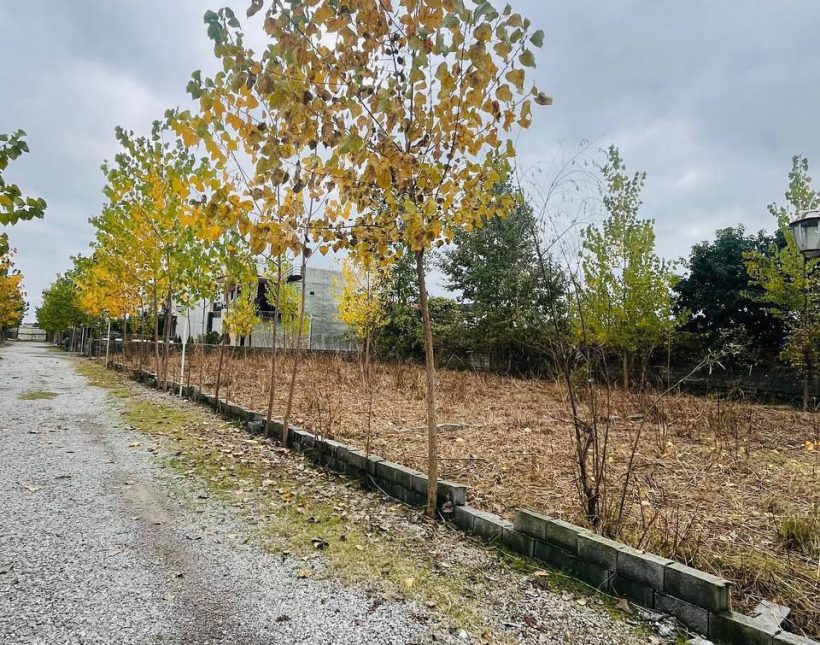 فروش زمین داخل بافت و مستقل چمستان | ۲۵۰ متر