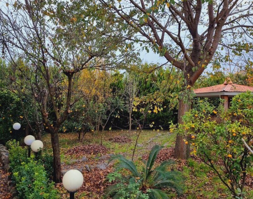 خرید ویلا باغ ۶۰۰ متری سند دار جاده جنگلی ایزدشهر | ۶۰۰ متر