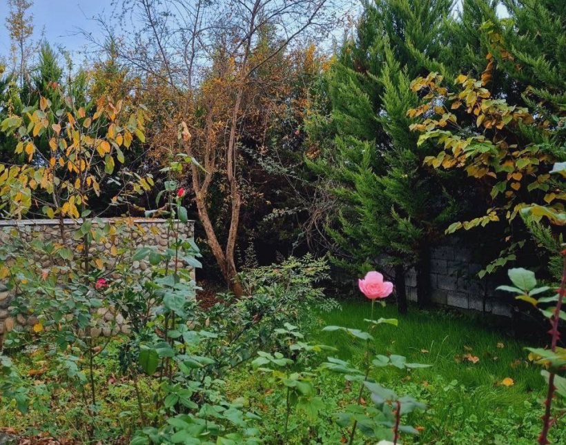 خرید ویلا باغ ۶۰۰ متری سند دار جاده جنگلی ایزدشهر | ۶۰۰ متر