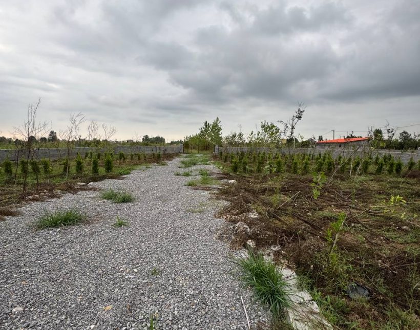 خرید زمین دسترسی عالی 1850 متری الیمالات نور | 1850 متر