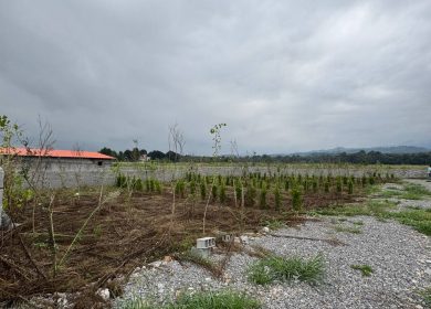 خرید زمین دسترسی عالی 1850 متری الیمالات نور | 1850 متر