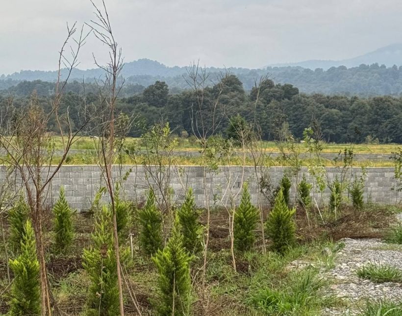 خرید زمین دسترسی عالی 1850 متری الیمالات نور | 1850 متر