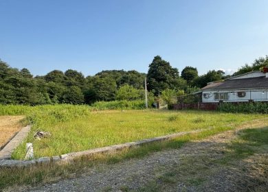 خرید زمین قواره 220 تا 300 متری جنگلی دسترسی عالی چمستان | 220 متر