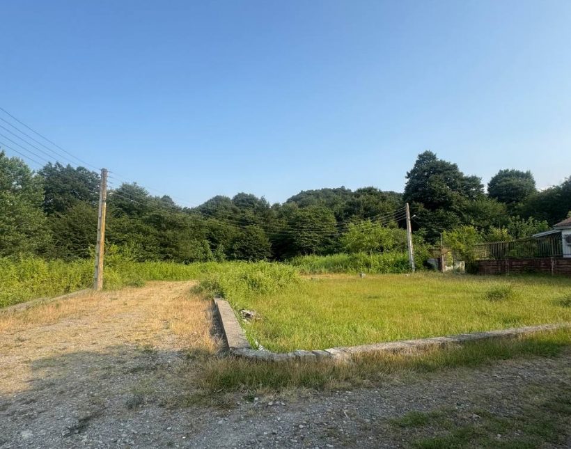 خرید زمین قواره 220 تا 300 متری جنگلی دسترسی عالی چمستان | 220 متر