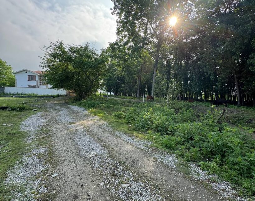 خرید زمین با قابلیت ساخت ویو ابدی 560 متری جوربند چمستان | 560 متر