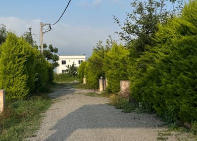 خرید زمین قواره 230 متری با قابلیت ساخت الیمالات نور | 230 متر