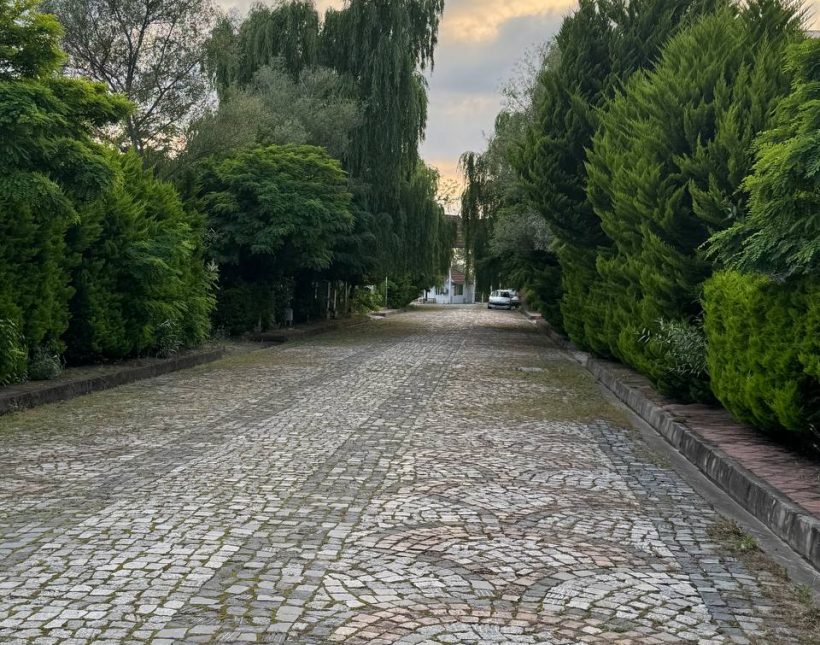 خرید زمین قابل ساخت قواره دار دسترسی عالی گنجیاب نور | 300 متر