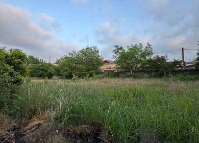 خرید زمین قابل ساخت قواره دار دسترسی عالی گنجیاب نور | 300 متر