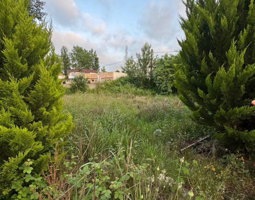 خرید زمین قابل ساخت قواره دار دسترسی عالی گنجیاب نور | 300 متر