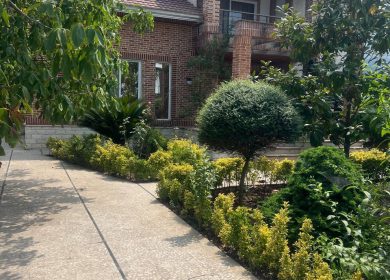 خرید ویلای باغ دوبلکس با تراس و درختان میوه نخ شمال منطقه آزاد نوشهر | 750 متر