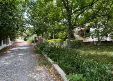 فروش زمین شهرکی قطعه یک جنگل در جوربند چمستان | ۲۷۰ متر