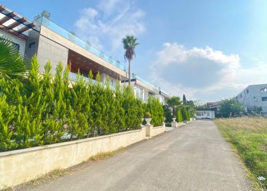 خرید زمین ۲۵۰ متری شهرکی در نور | ۲۵۰ متر