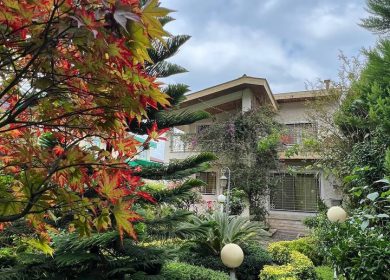 خرید ویلا ۳۳۰ متری قطعه یک جنگل در نعمت آباد چمستان | ۳۳۰ متر