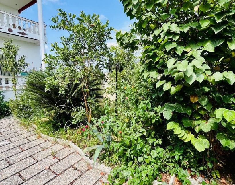 فروش باغ ویلا مبله کامل منطقه سیاه کلا چمستان | 230 متر