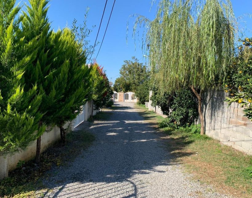 فروش کاخ ویلا سند دار و مشجر مستقل چمستان | ۳۲۰ متر