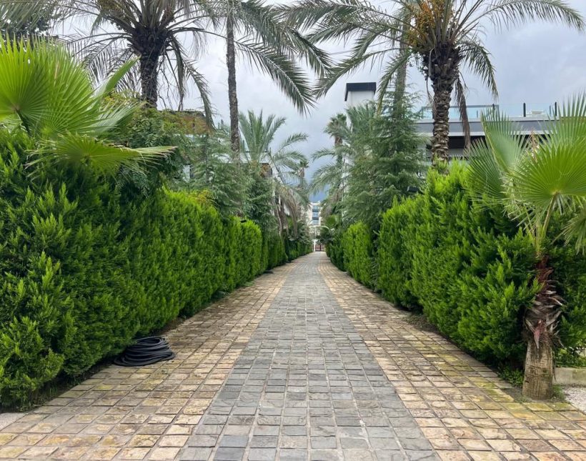 فروش باغ ویلا پلاک یک دریا و جنگل منطقه چلک نوشهر | 550 متر