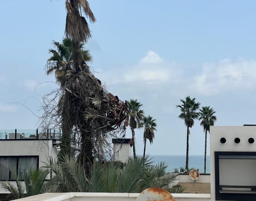 فروش باغ ویلا پلاک یک دریا و جنگل منطقه چلک نوشهر | 550 متر