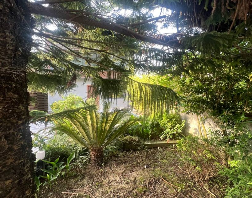 خرید ویلا دوبلک استخر دار منطقه آزاد نوشهر چلک شهرکی | 300 متر