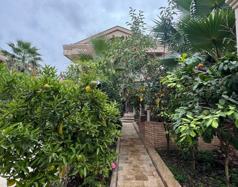 خرید ویلا دوبلکس نما سنگ ویو ابدی سند تک برگ کیابسر چمستان | 300 متر