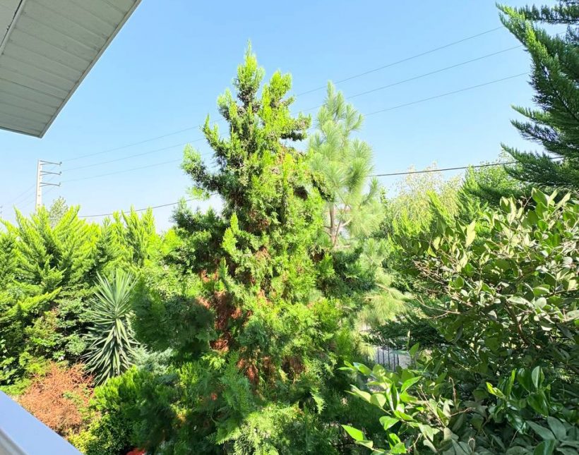 فروش باغ ویلا شهرکی با گیت نگهبانی منطقه برند آهودشت چمستان | 250 متر