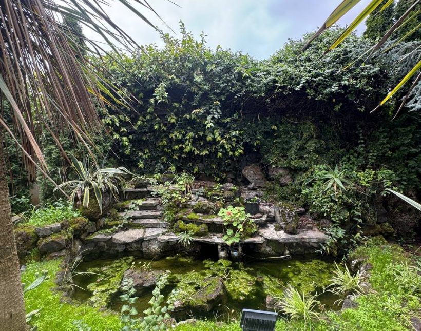 خرید ویلا باغ دوبلکس شهرک قطعه ۱ جنگل در نور | ۳۰۰ متر