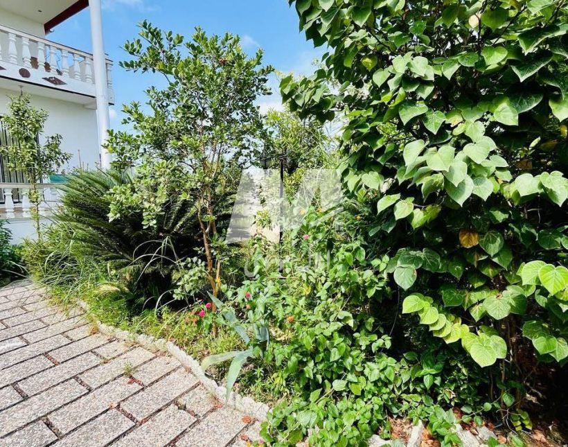 فروش کاخ ویلا فول فرنیش و سند دار چمستان | ۲۵۰ متر