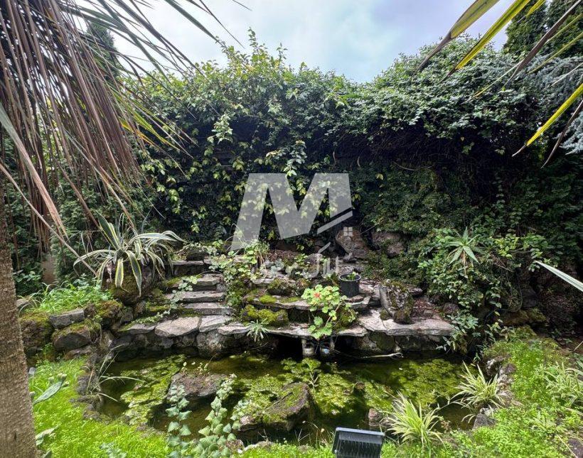 خرید ویلا باغ شهرکی قطعه ۱ جنگل باسند د الیمالات نور | ۳۰۰ متر