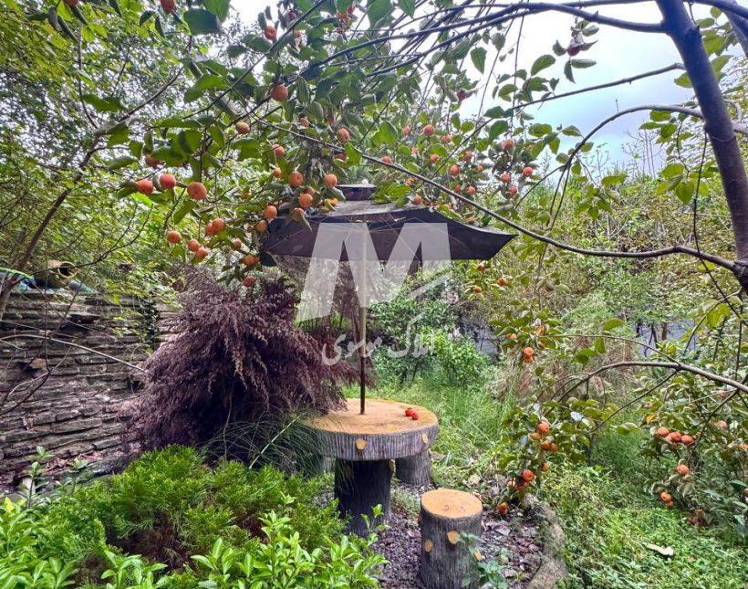 خرید ویلا باغ ۵۰۰ متری سند دار و مستقل نور | ۵۰۰ متر