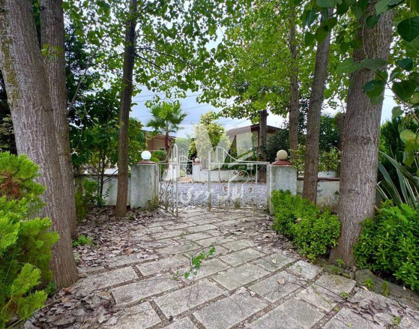 خرید ویلا باغ ۵۰۰ متری سند دار و مستقل نور | ۵۰۰ متر