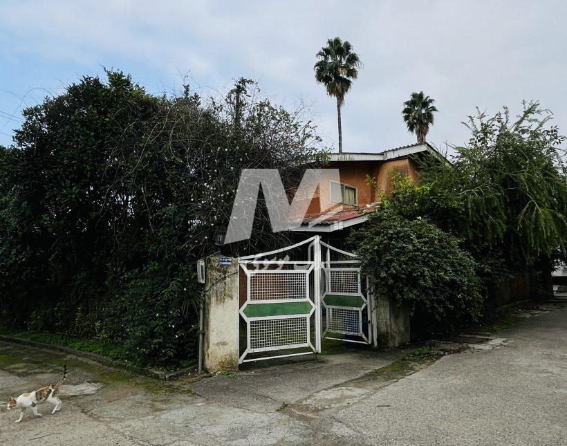 ویلا باغ ۶۳۰ متری سنددار با درختان مرکبات سیسنگان فروش فوری | ۶۳۰ متر