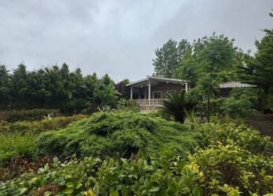 خرید ویلا فول فرنیش ویو ابدی 900 متری تورانکلا چمستان | 900 متر