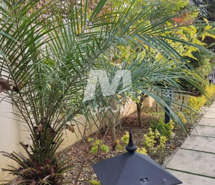 فروش باغ ویلا 420 متری استخردار منطقه برند ونوش نوشهر | 420 متر