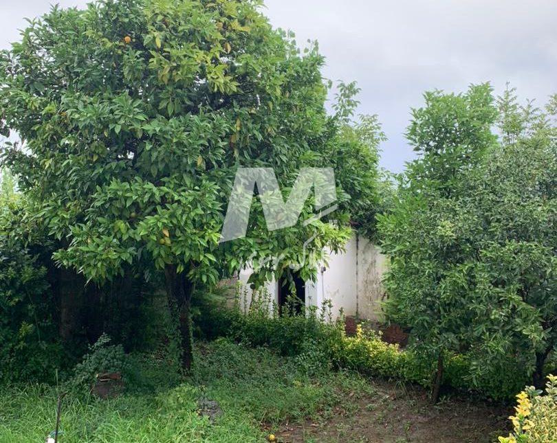 فروش باغ ویلا فلت 475 متری مدارک کامل منطقه وازیوار نوشهر | 475 متر