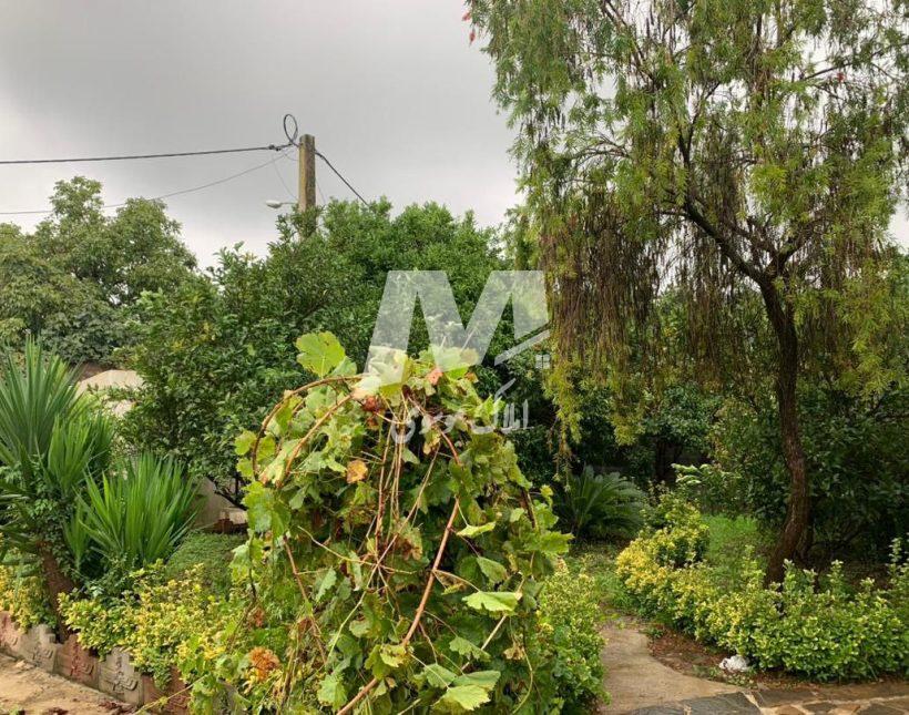 فروش باغ ویلا فلت 475 متری مدارک کامل منطقه وازیوار نوشهر | 475 متر