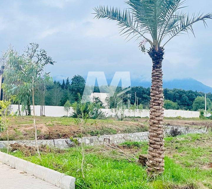 فروش زمین ۲۷۰ متری سند دار سیسنگان نوشهر | ۶۰۰ متر