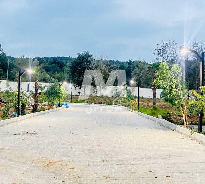 فروش زمین ۲۷۰ متری سند دار سیسنگان نوشهر | ۶۰۰ متر