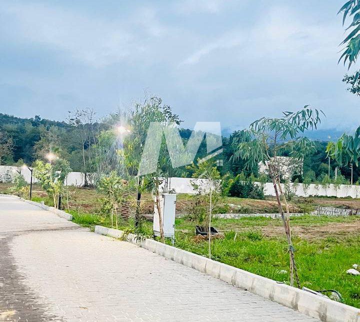 فروش زمین ۲۷۰ متری سند دار سیسنگان نوشهر | ۶۰۰ متر